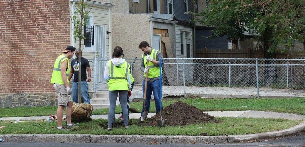 Volunteers planting trees