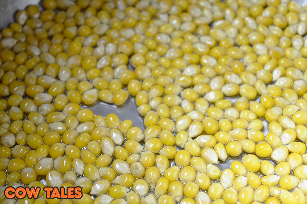 popcorn kernals